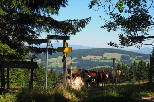 Fahrt um den Schöckl, 11.07.2015